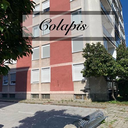 Apartman Colapis- Self Check In, Free Parking, Premium Location! 카를로바츠 외부 사진