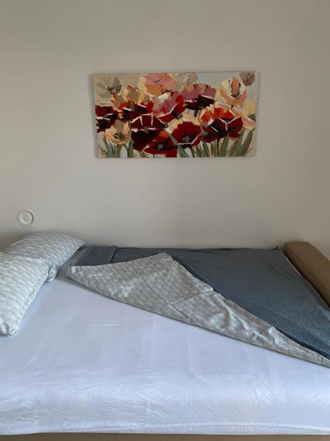 Apartman Colapis- Self Check In, Free Parking, Premium Location! 카를로바츠 외부 사진