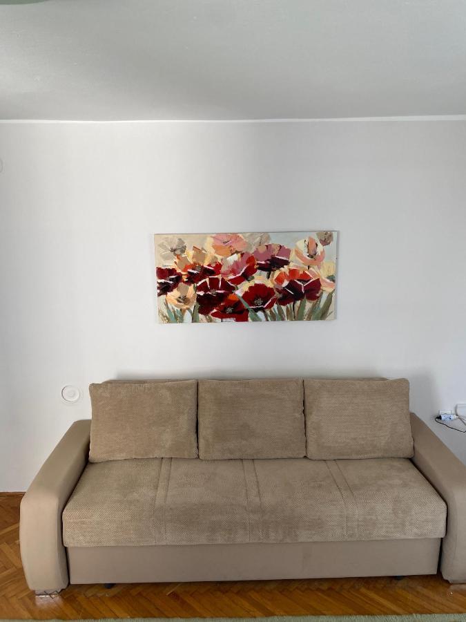 Apartman Colapis- Self Check In, Free Parking, Premium Location! 카를로바츠 외부 사진