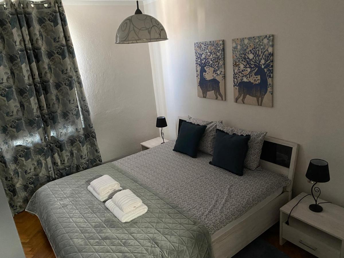 Apartman Colapis- Self Check In, Free Parking, Premium Location! 카를로바츠 외부 사진