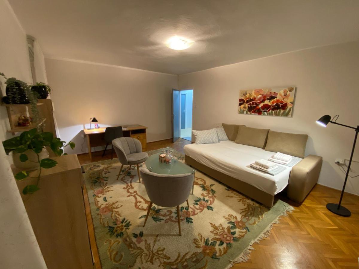 Apartman Colapis- Self Check In, Free Parking, Premium Location! 카를로바츠 외부 사진