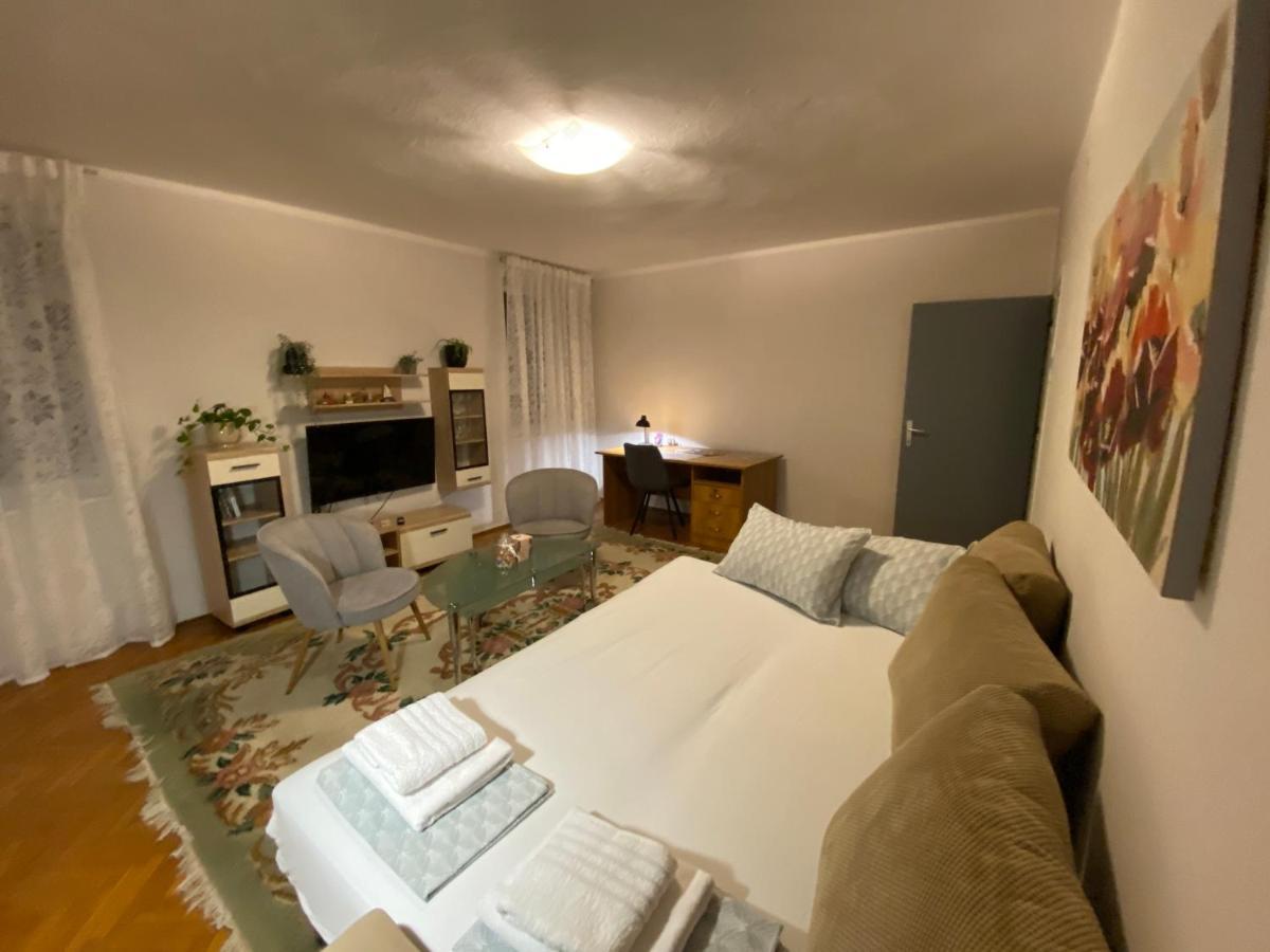 Apartman Colapis- Self Check In, Free Parking, Premium Location! 카를로바츠 외부 사진