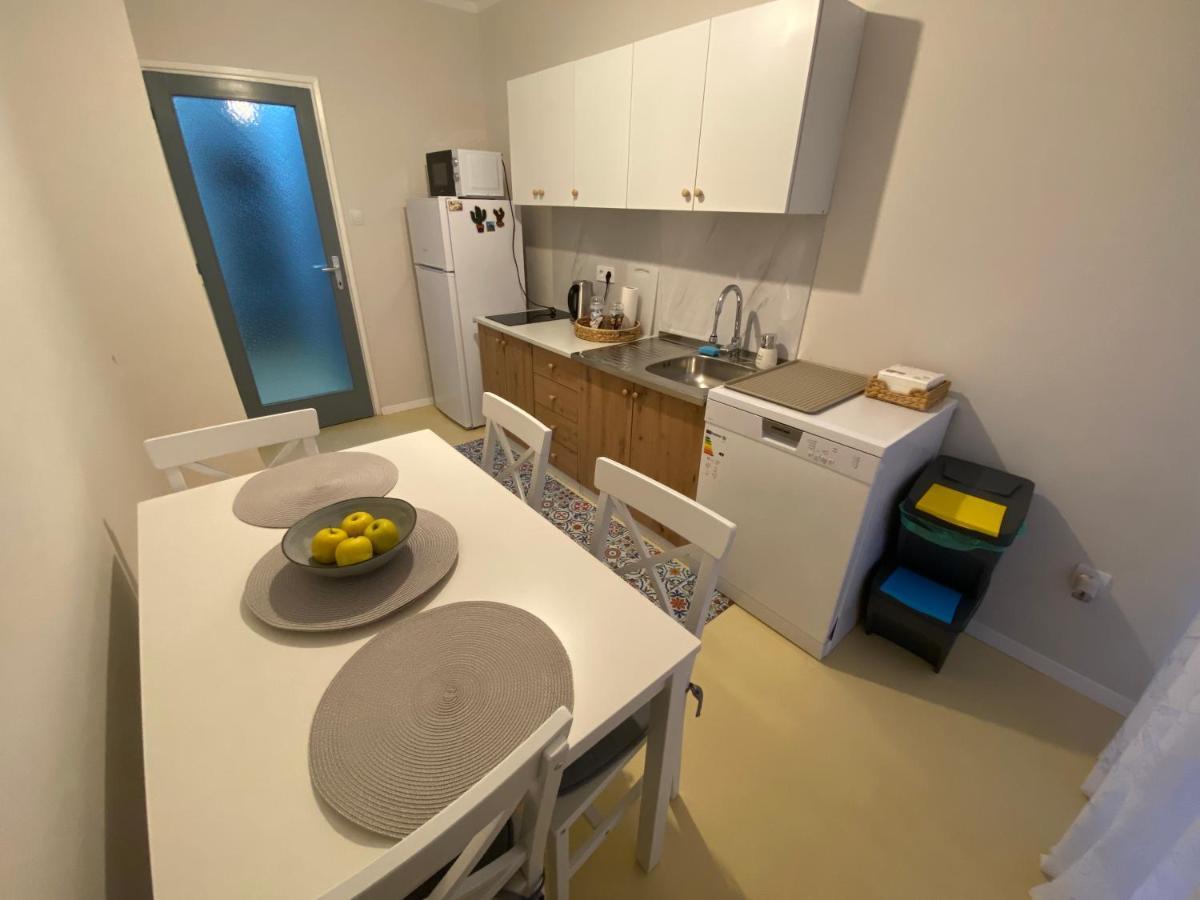Apartman Colapis- Self Check In, Free Parking, Premium Location! 카를로바츠 외부 사진